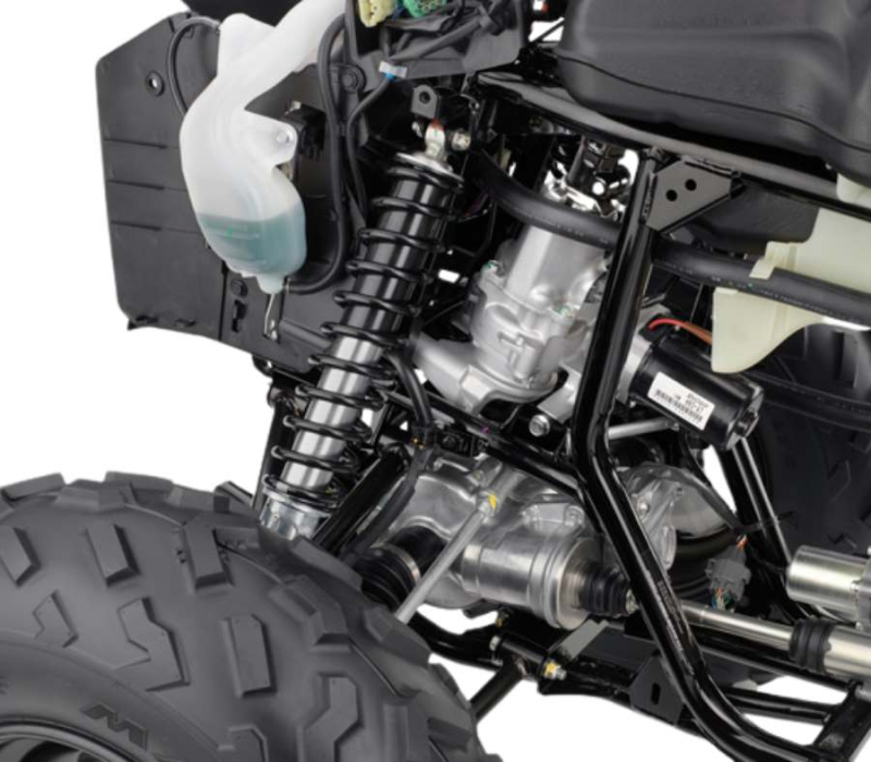 Honda Rancher At 2024